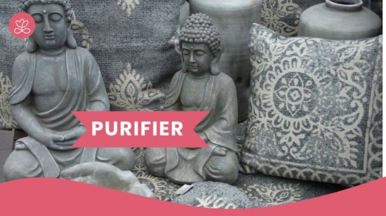 Purifier