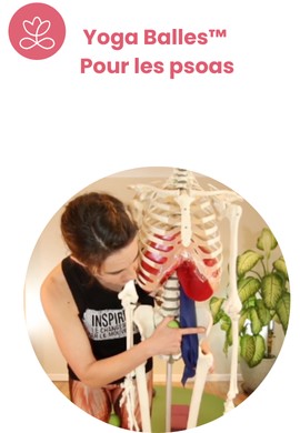 Yoga Balles™️ - Pour les psoas