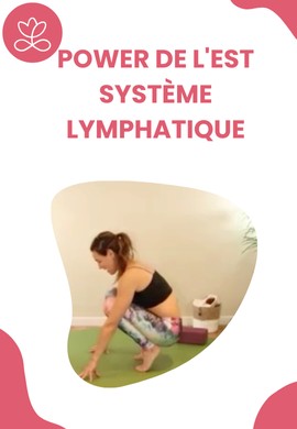 Power de l'Est - système lymphatique