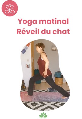 Yoga matinal - Réveil du chat