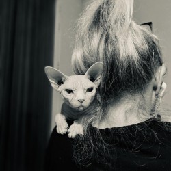 Avatar de Nathalie